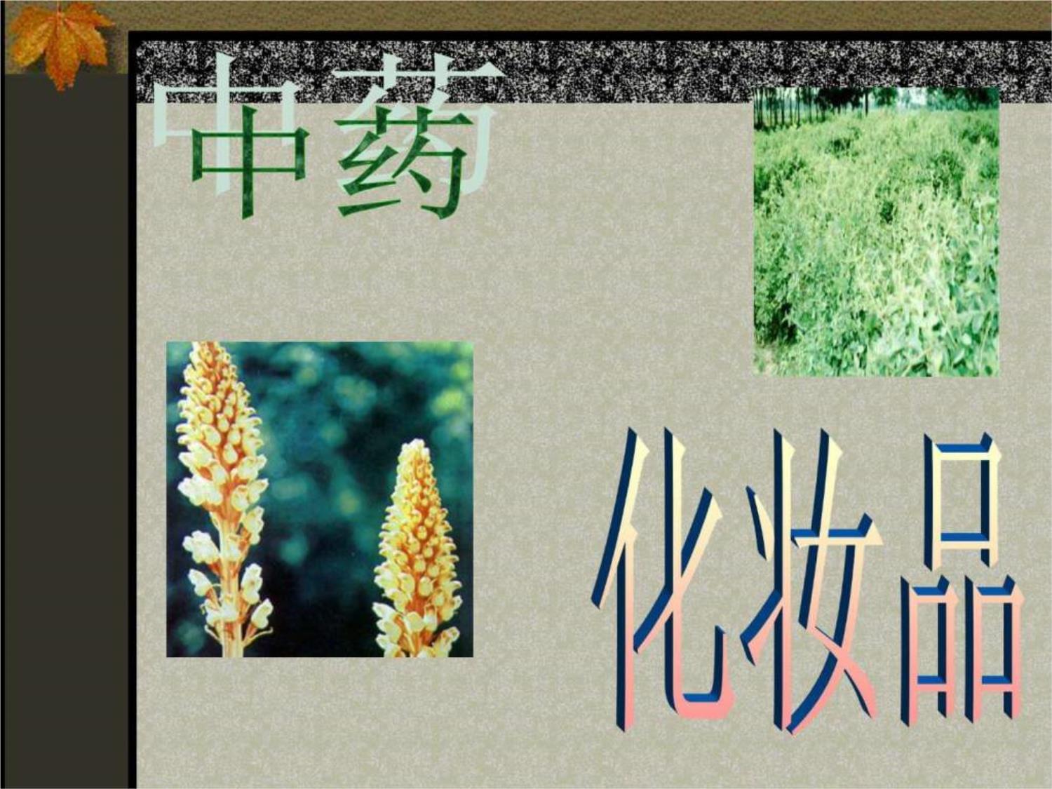 中药化妆品概论 传承岐黄之术，焕发东方之美
